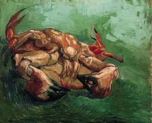 Haga click para ver la imagen ampliada crab on its back.jpg